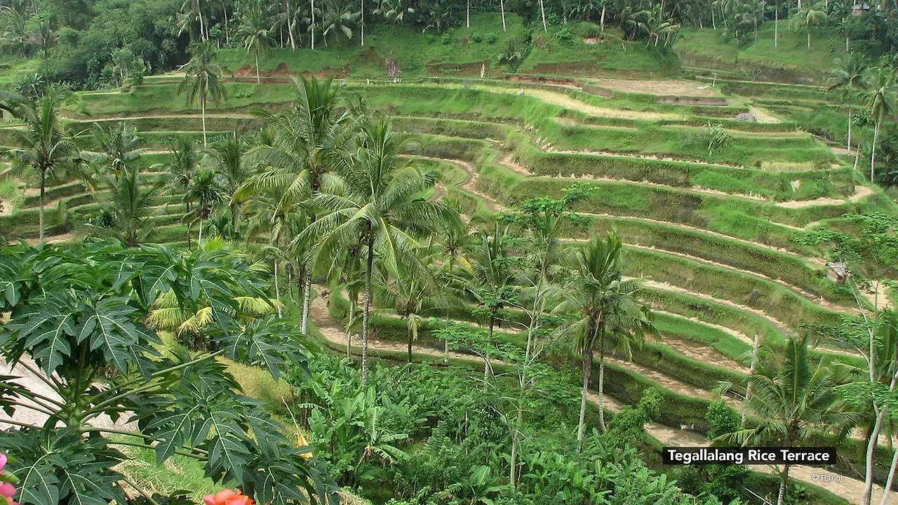 Zen Rooms Ubud Tirta Tawar 2 אובוד